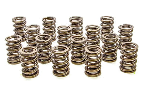 PAC Racing Springs Valve Springs - HR Series (16) PAC-1903-16