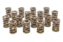 Load image into Gallery viewer, PAC Racing Springs Valve Springs - HR Series (16) PAC-1908-16