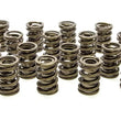 Load image into Gallery viewer, PAC Racing Springs Valve Springs - HR Series (16) PAC-1924-16