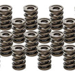 Load image into Gallery viewer, PAC Racing Springs Valve Springs - HR Series (16) PAC-1940-16