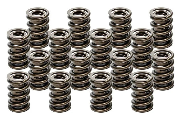 PAC Racing Springs Valve Springs - HR Series (16) PAC-1940-16