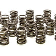 Load image into Gallery viewer, PAC Racing Springs Valve Springs - HR Series (16) PAC-1900-16