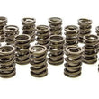 Load image into Gallery viewer, PAC Racing Springs Valve Springs - HR Series (16) PAC-1901-16