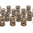 Load image into Gallery viewer, PAC Racing Springs Valve Springs - HR Series (16) PAC-1905-16