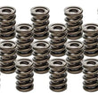 Load image into Gallery viewer, PAC Racing Springs Valve Springs - HR Series (16) PAC-1940-16