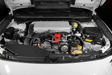 Load image into Gallery viewer, PERRIN 22-24 Subaru WRX Air Oil Separator - Black - Additional View 12