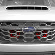 Load image into Gallery viewer, PERRIN 22-25 Subaru WRX Hella Horn Bracket (Bracket ONLY) - Additional View 5