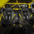Load image into Gallery viewer, PRP 4.2 Harness- Black - Additional View 5