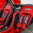 Load image into Gallery viewer, PRP 5.3 Harness- Red - Back View