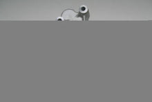 Load image into Gallery viewer, PRW Engine Water Pump 1431800 fits 1970-1991 Chrysler / Dodge / Fargo