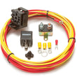 Load image into Gallery viewer, Painless Wiring Fuel Pump Relay 50102
