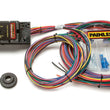 Load image into Gallery viewer, Painless Wiring10 Circuit Race Harness50001
