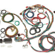 Load image into Gallery viewer, Painless Wiring69-70 Mustang Chassis Harness 22 Circuits20122
