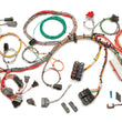 Load image into Gallery viewer, Painless Wiring86-95 Ford 5.0L Mustang EFI Wiring Harness60510