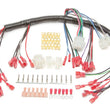 Load image into Gallery viewer, Painless WiringDash Harness (Ele.Speedo30302