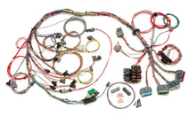 Load image into Gallery viewer, Painless WiringLT-1 Wiring Harness60502