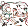 Load image into Gallery viewer, Painless WiringTpi Harness 85-8960102