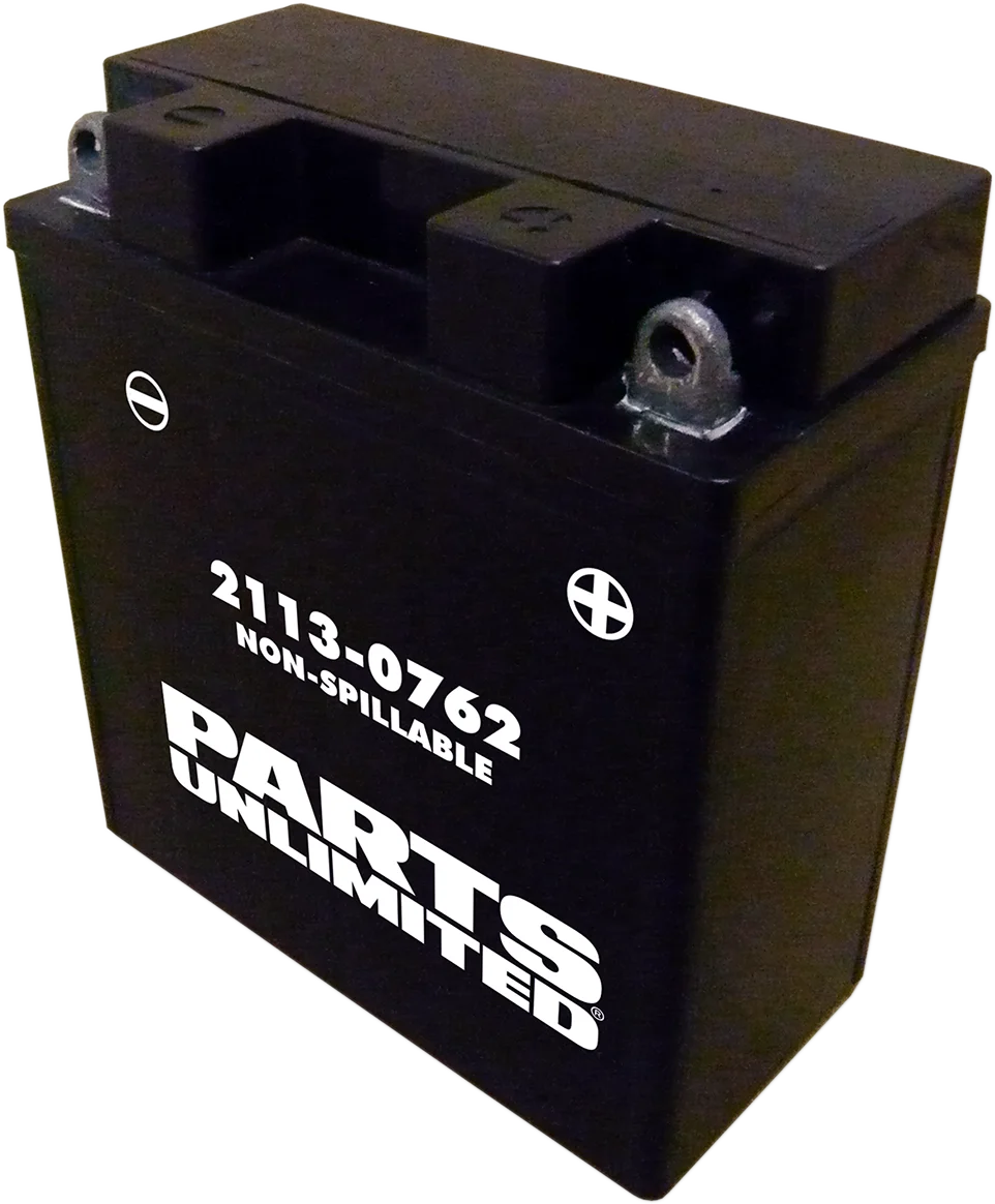 Parts unlimited AGM Battery - CTX5AL-BS CTX5AL-BS (FA) - Back View