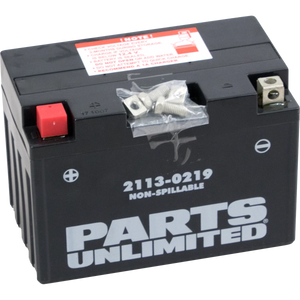 Parts unlimited AGM Battery - YT12A-BS CT12A-BS - Main Product View