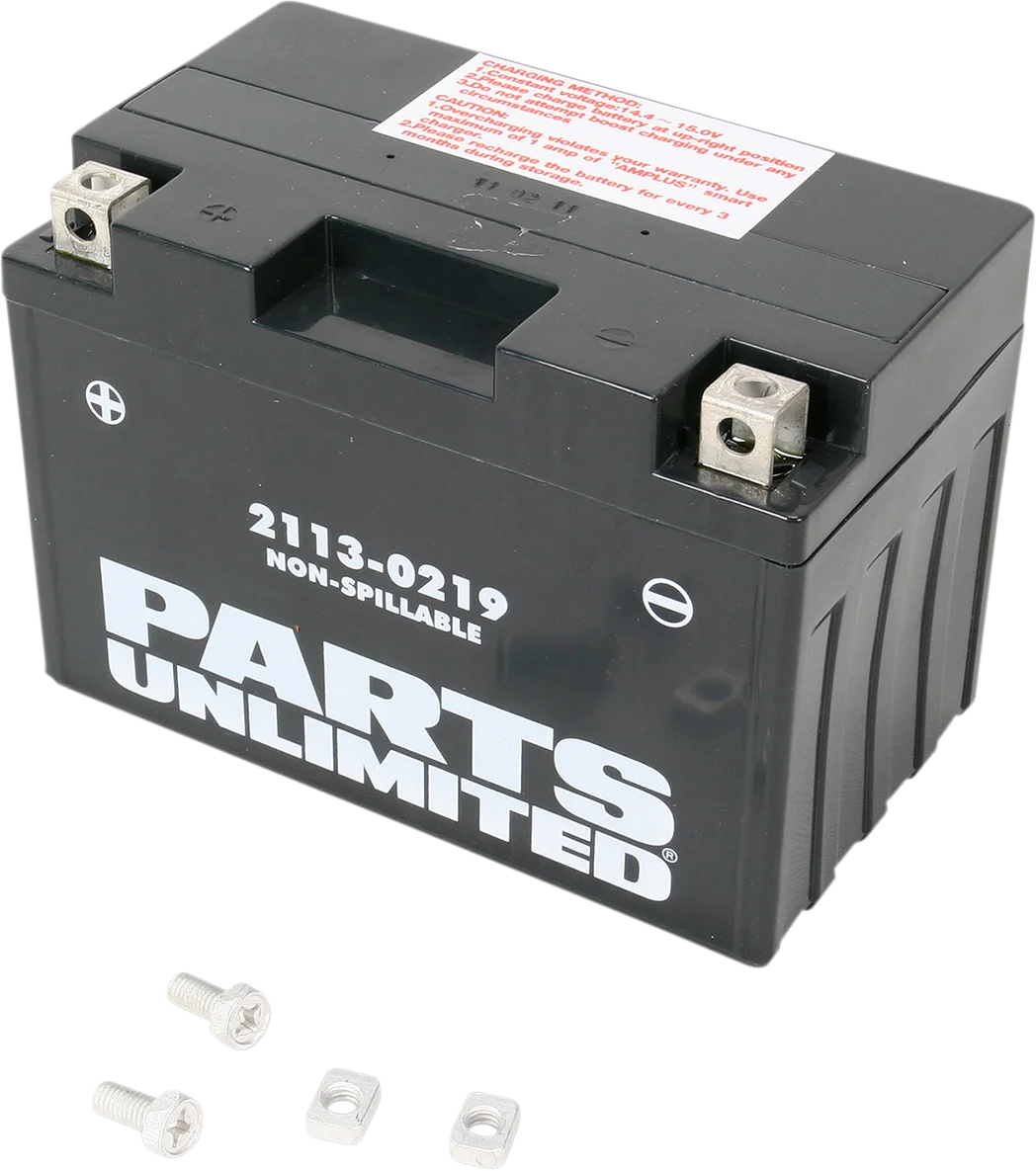 Parts unlimited AGM Battery - YT12A-BS CT12A-BS - Back View