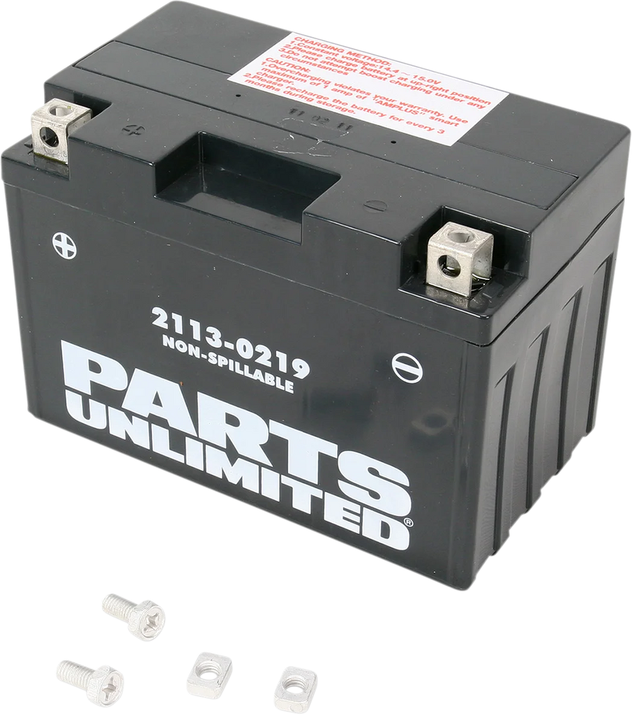 Parts unlimited AGM Battery - YT12A-BS CT12A-BS - Back View