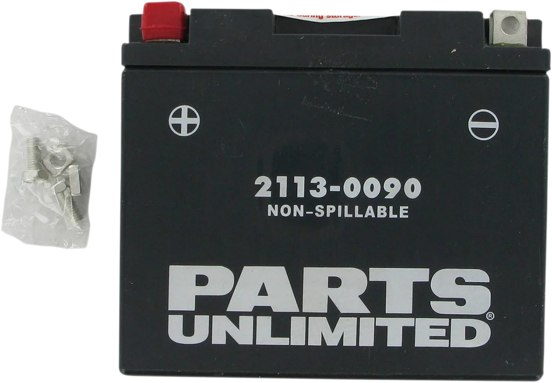 Parts unlimited AGM Battery - YT12B4/YT12B-BS CT12B4 - Back View