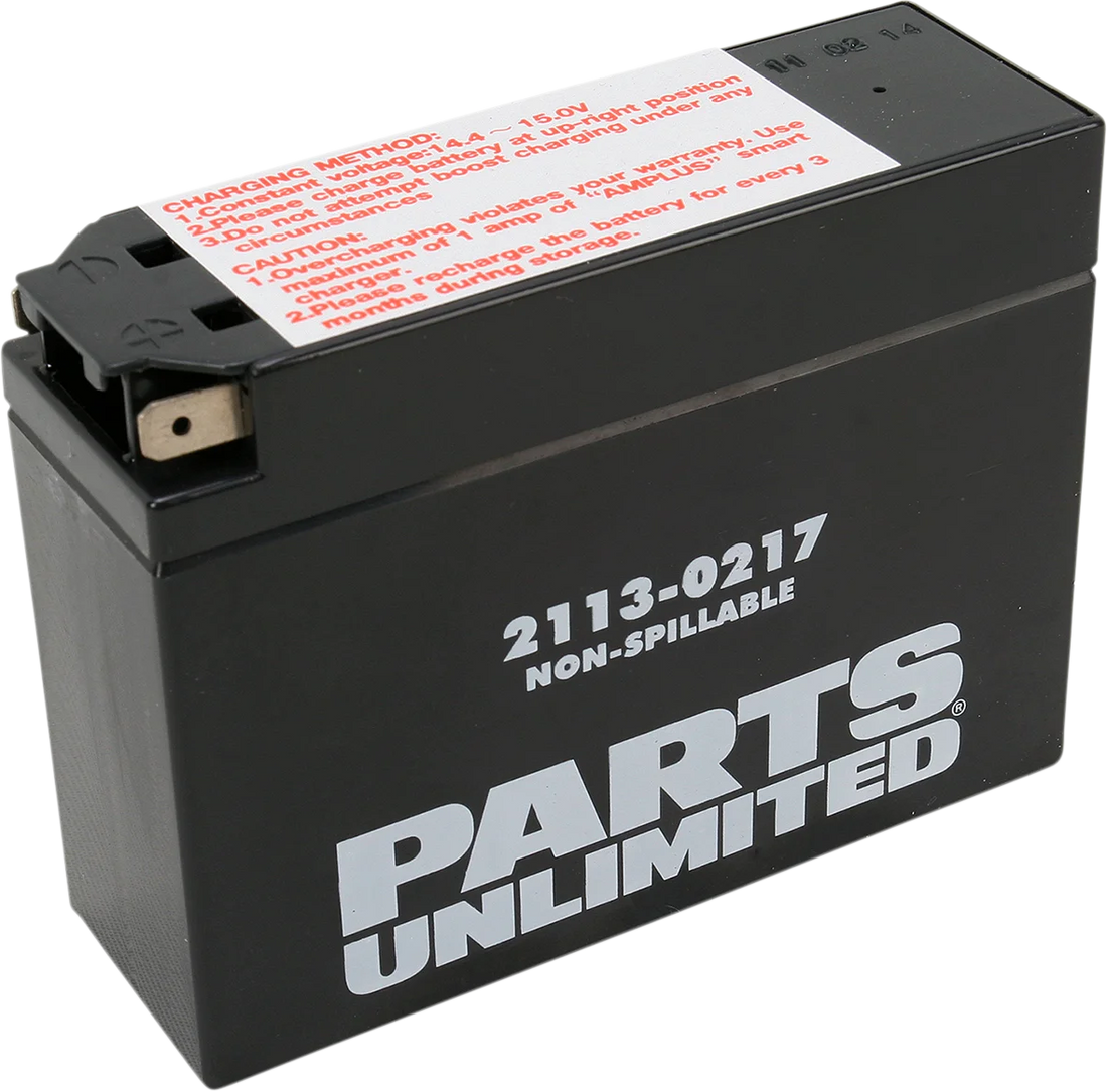 Parts unlimited AGM Battery - YT4B-BS CT4B-5 - Side View