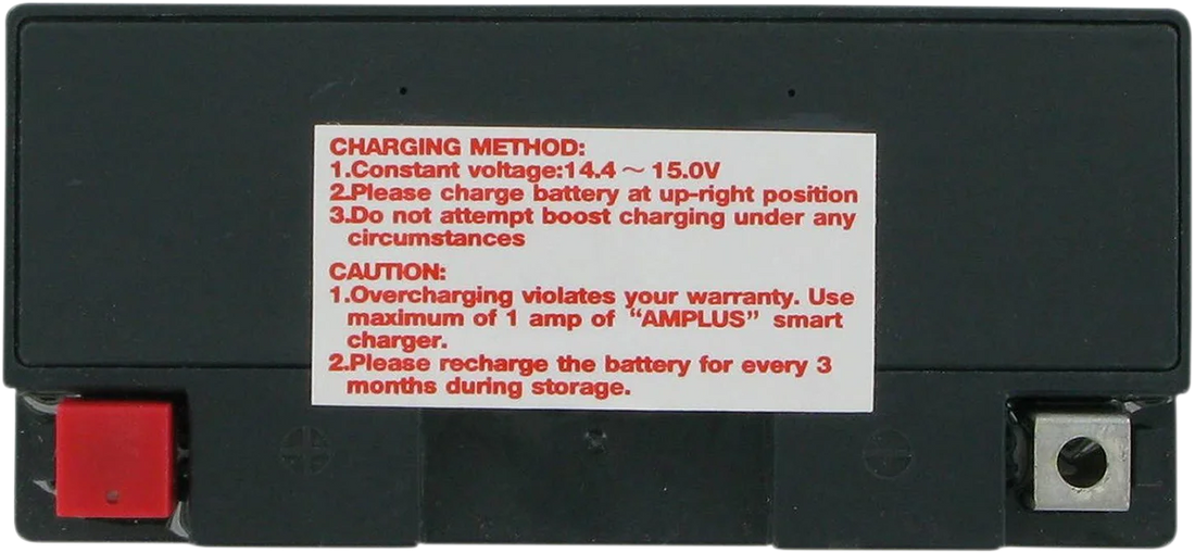 Parts unlimited AGM Battery - YT9B-4/YT9B-BS CT9B-4 - Side View