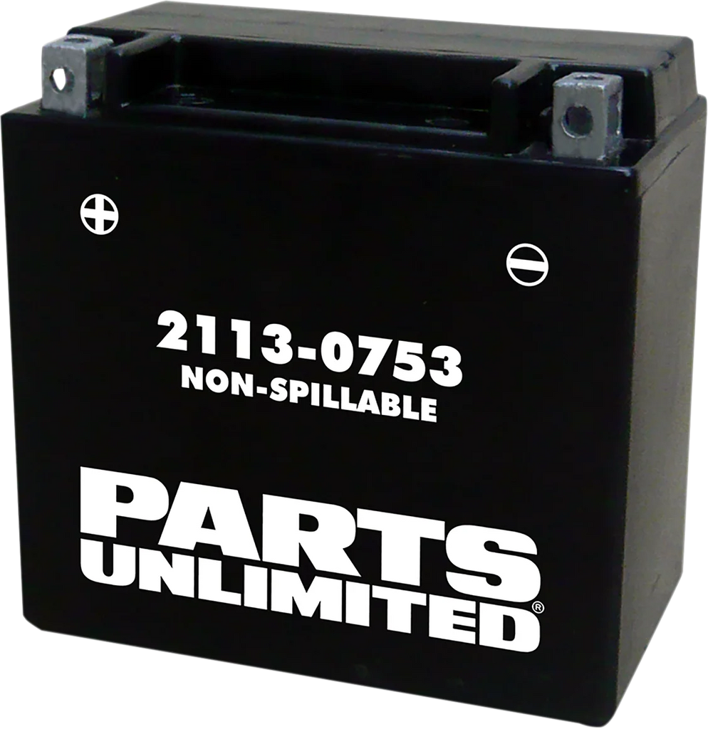 Parts unlimited AGM Battery - YTX14 CTX14 - Main Product View