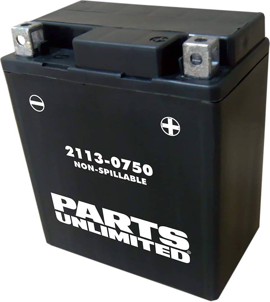 Parts unlimited AGM Battery - YTX7L CTX7L - Main Product View