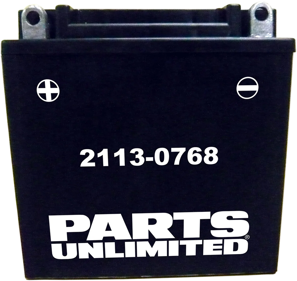 Parts unlimited AGM Battery - YTX9ABS CTX9A-BS - Back View