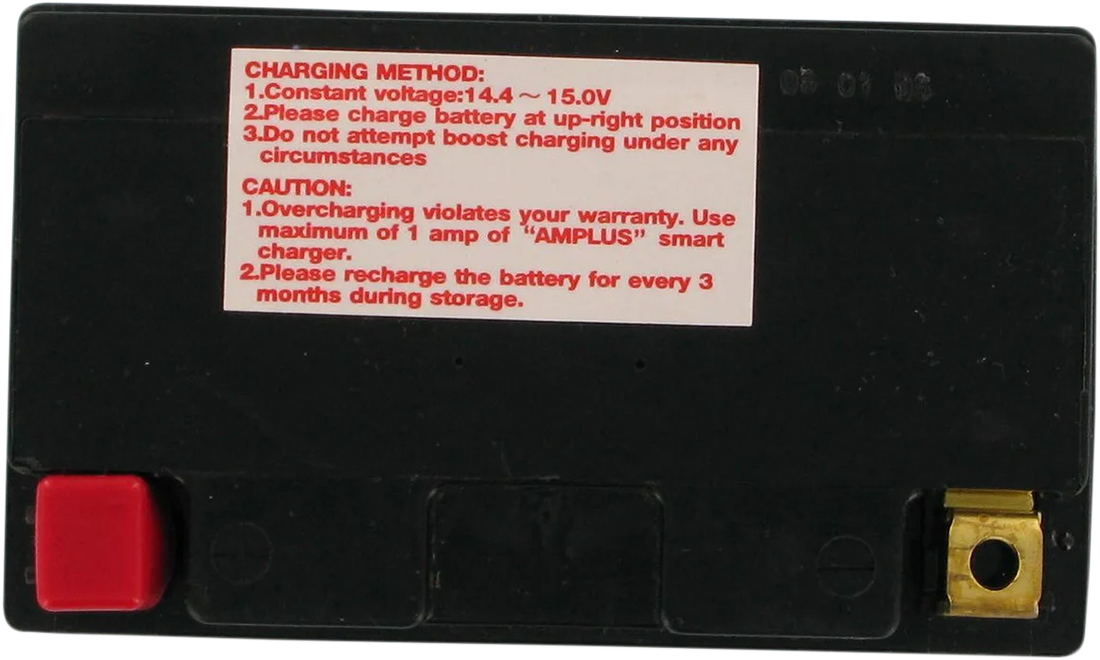 Parts unlimited AGM Battery - YTZ12S CTZ12S - Back View