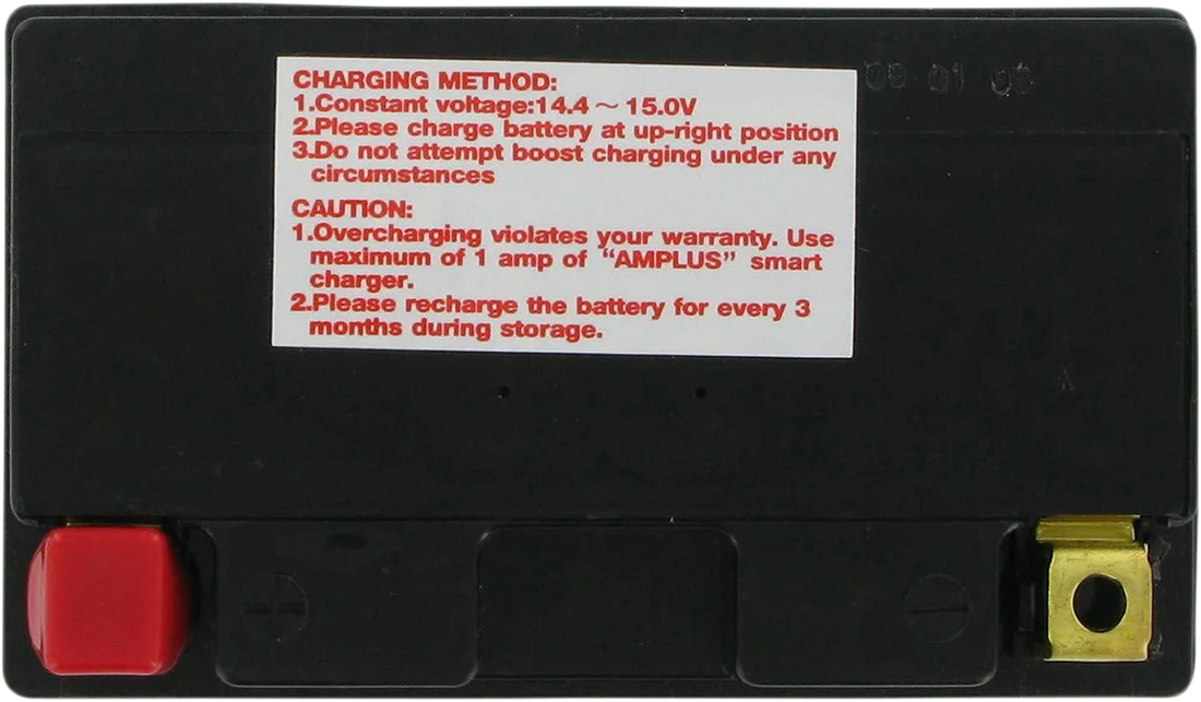 Parts unlimited AGM Battery - YTZ14S CTZ14S - Side View