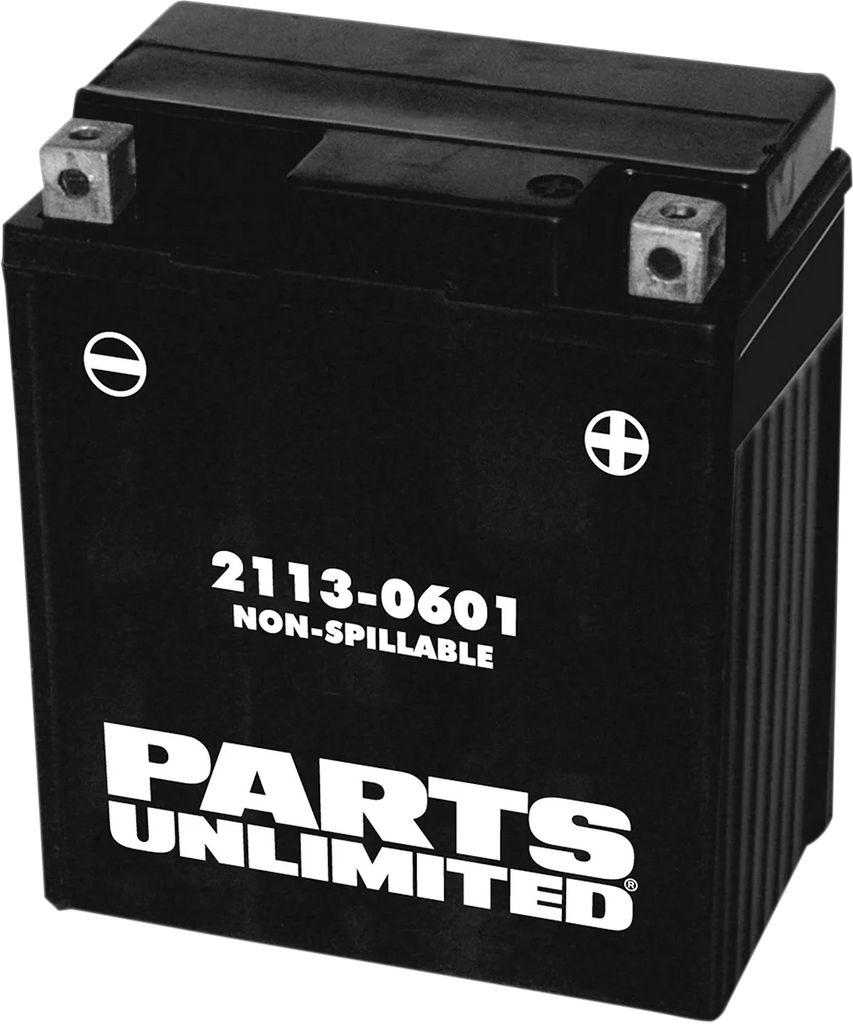 Parts unlimited AGM Battery - YTZ8V CTZ8V - Main Product View