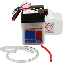 Load image into Gallery viewer, Parts unlimited Battery - 6N4C-1B 6N4C-1B-FP - Main Product View