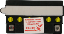 Load image into Gallery viewer, Parts unlimited Battery - YB12C-A CB12C-A - Side View