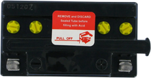 Load image into Gallery viewer, Parts unlimited Conventional Battery 12N7-3B - Side View