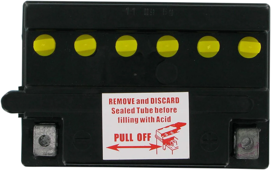 Parts unlimited Conventional Battery - Back View