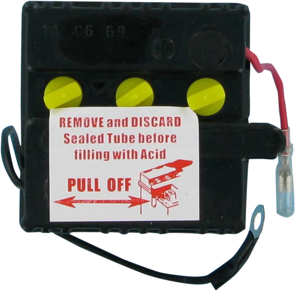 Parts unlimited Conventional Battery 6N42A5 - Back View