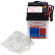 Load image into Gallery viewer, Parts unlimited Conventional Battery 6N4C1B - Main Product View