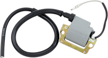 Load image into Gallery viewer, Parts unlimited External Ignition Coil - Main Product View