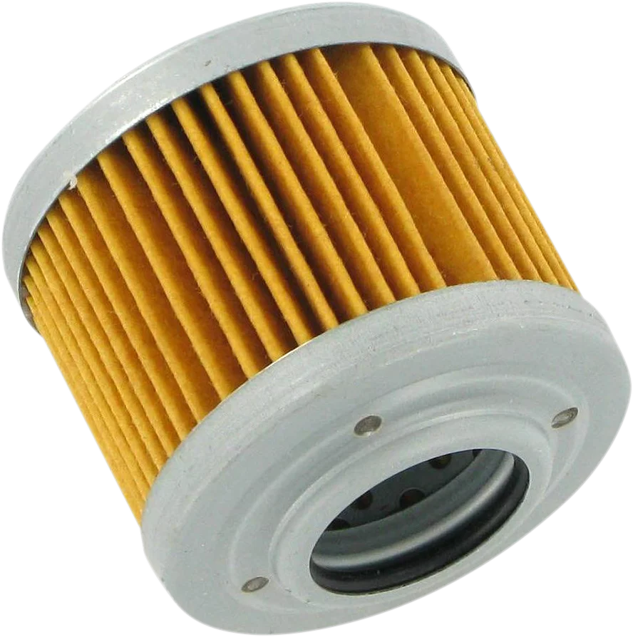 Parts unlimited Oil Filter 0256185 - Main Product View