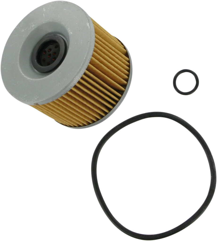 Parts unlimited Oil Filter 15412-300-325 - Main Product View