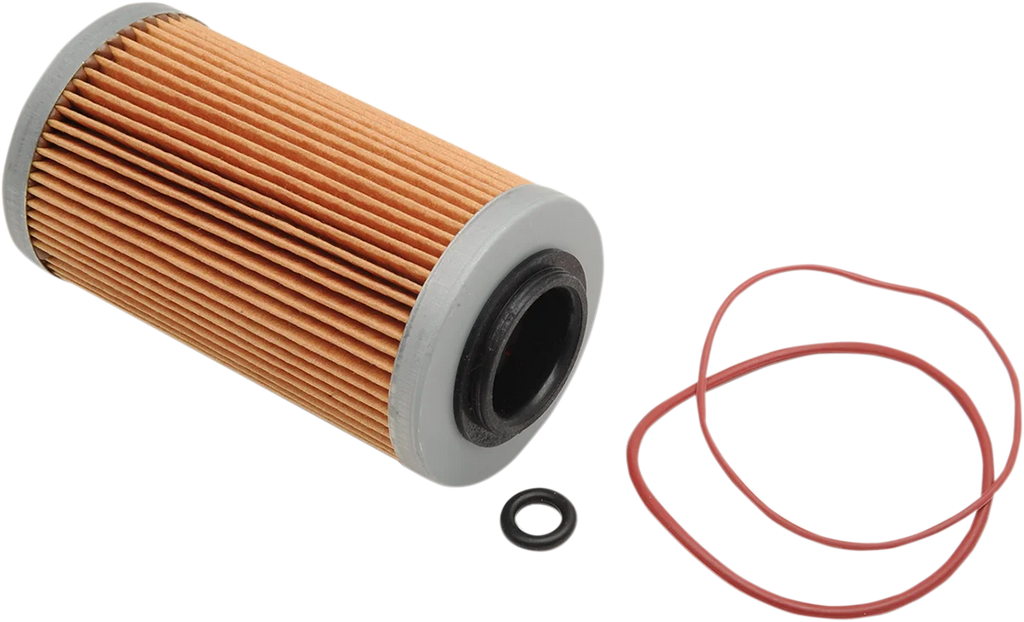 Parts unlimited Oil Filter 420956740 - Side View