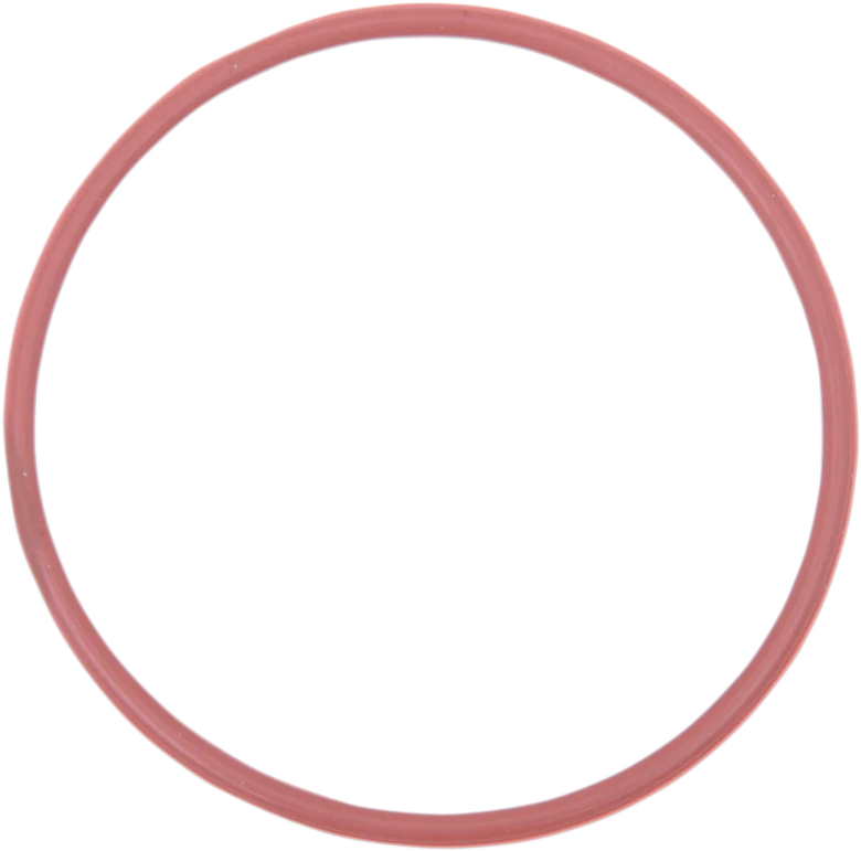 Parts unlimited Oil Filter O-Rings - 5-Pack 420230920 - Main Product View