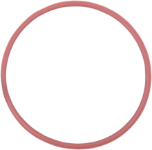 Load image into Gallery viewer, Parts unlimited Oil Filter O-Rings - 5-Pack 420950860 - Side View