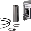 Load image into Gallery viewer, Parts unlimited Piston Assembly - 09-730 - Standard fits Polaris - Main Product View