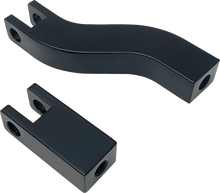 Load image into Gallery viewer, Passenger Peg Mount - Black - FX DragSpecialties P17-0491GB - Main Product View