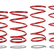 Load image into Gallery viewer, Pedders 97-02 Subaru Forester SF SportsRyder Low Springs - Main Product View
