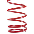 Load image into Gallery viewer, Pedders Front Spring Low 2006-2009 G8 EACH